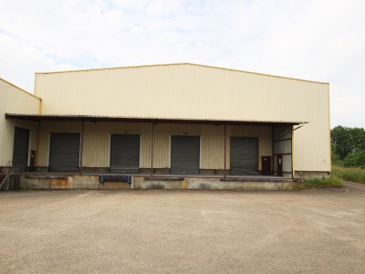 LOCAL D ACTIVITE DE STOKAGE - INDUSTRIEL - BUREAUX A VENDRE - TOURNUS - 3693 m2 - 1870000 € 