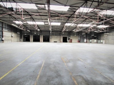 LOCAL D ACTIVITE DE STOKAGE - INDUSTRIEL - BUREAUX A VENDRE - TOURNUS - 3693 m2 - 1870000 € 