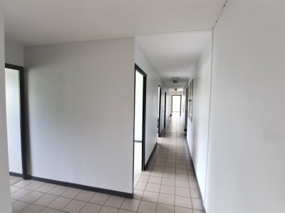 LOCAL D ACTIVITE DE STOKAGE - INDUSTRIEL - BUREAUX A VENDRE - TOURNUS - 3693 m2 - 1870000 € 