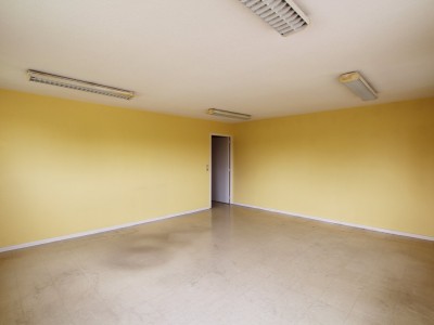 LOCAL D ACTIVITE DE STOKAGE - INDUSTRIEL - BUREAUX A VENDRE - TOURNUS - 3693 m2 - 1870000 € 